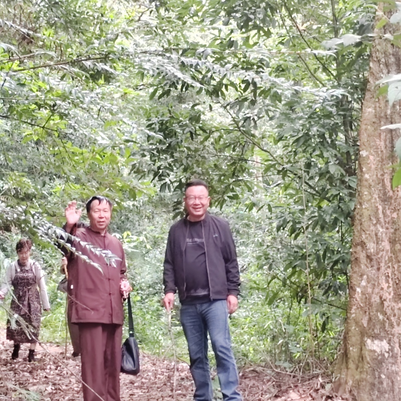 �Ǹ���ʤ������ ��̬����Ʒ������������ɽԭʼ��̬���Ļ�����������ʵ