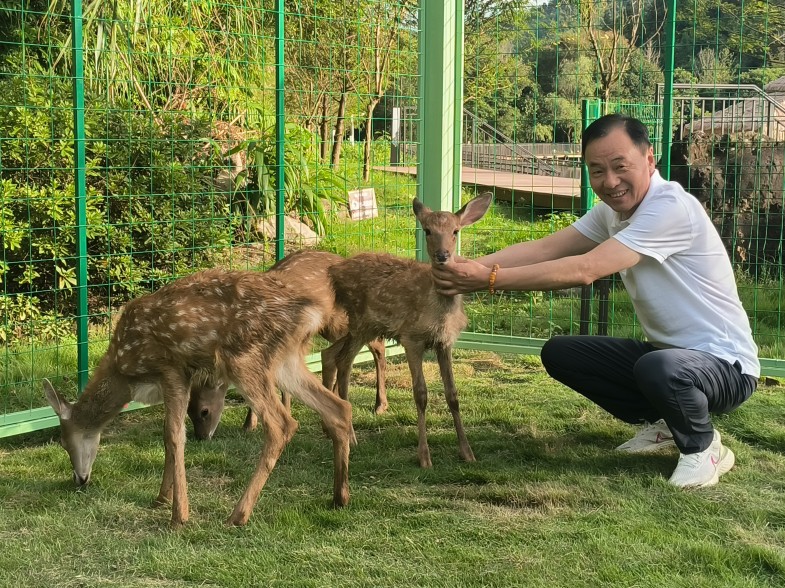 ����¹��פ����ɽ���� ������Ȥ���ó�