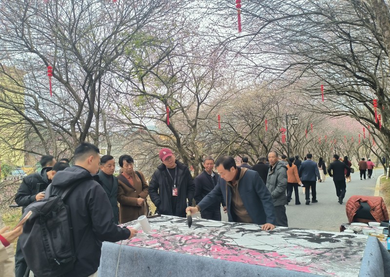 ÷���빲 ��̨����������̨���Ͼ���÷���Ļ��������Ļ ��������ӳ����